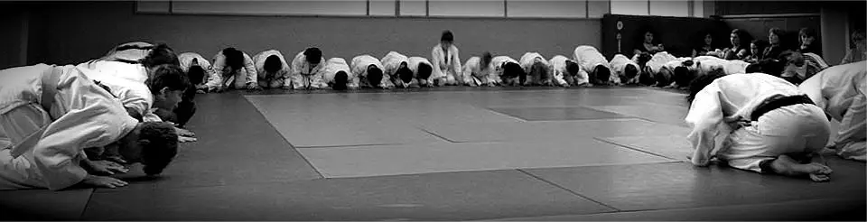 Dojo003